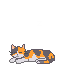 cat.apng